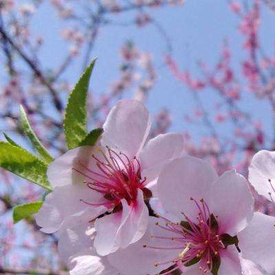 可下分电玩下载手机版